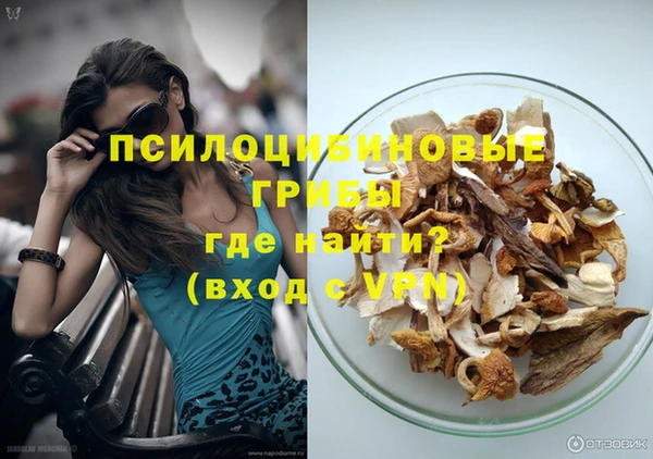 винт Лагань