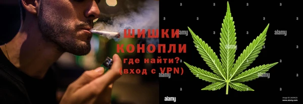 прущая мука Бикин