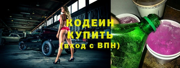 крисы Кулебаки