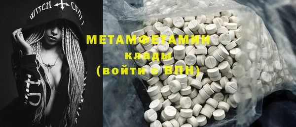 крисы Кулебаки
